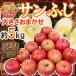 яблоко ~ Nagano производство меласса ввод солнечный ..~ примерно 5kg есть перевод размер случайный [ предварительный заказ 11 месяц последняя декада после ] бесплатная доставка 