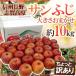  яблоко Nagano префектура .. высота . производство ~ солнечный ..~ есть перевод примерно 10kg размер случайный [ предварительный заказ 11 месяц последняя декада после ] бесплатная доставка 