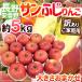  яблоко ~ Nagano префектура дешево замутненный . производство солнечный .. яблоко ~ есть перевод примерно 5kg размер случайный [ предварительный заказ 11 месяц последняя декада после ] бесплатная доставка 