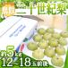  Tottori производство ~ 2 10 век груша ~ большой шар 12~18 шар примерно 5kg производство земля коробка [ предварительный заказ 8 конец месяца после ] бесплатная доставка 