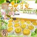  Tottori префектура ~ осень . Izumi груша ~ превосходящий товар 10~16 шар передний и задний (до и после) примерно 5kg[ предварительный заказ 9 месяц после ] бесплатная доставка 