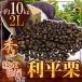 ~ выгода flat каштан ~ превосходящий товар крупный 2L примерно 10kg Kumamoto производство * Ehime производство и т.п. [ предварительный заказ 9 месяц последняя декада после ] бесплатная доставка 