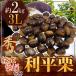 ~ выгода flat каштан ~ превосходящий товар супер крупный 3L примерно 2kg Kumamoto производство * Ehime производство и т.п. [ предварительный заказ 9 месяц последняя декада после ] бесплатная доставка 