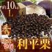 ~ выгода flat каштан ~ превосходящий товар L примерно 10kg Kumamoto производство * Ehime производство и т.п. [ предварительный заказ 9 месяц последняя декада после ] бесплатная доставка 
