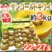 zespli~ sun Gold kiwi fruit ~ 22~27 sphere approximately 3kg[ reservation 4 month last third on and after ] free shipping 