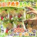  Kagawa префектура ~... киви ..~ примерно 200g×{5pc}(1pc на 6~11 шар передний и задний (до и после) )[ предварительный заказ 11 месяц после ] бесплатная доставка 