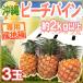  Okinawa производство ~pi-chi сосна ~ 3 шар примерно 2kg и больше специальный производство земля коробка ананас [ предварительный заказ 3 месяц последняя декада после ] бесплатная доставка 