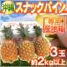  Okinawa производство ~ снэки сосна ~ 3 шар примерно 2kg и больше специальный производство земля коробка ананас [ предварительный заказ 4 месяц последняя декада после ] бесплатная доставка 