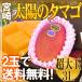  Miyazaki префектура ~.. манго солнце. tamago~ превосходящий товар супер большой шар 3L размер несессер ввод {2 шар покупка бесплатная доставка }[ предварительный заказ 4 месяц после ]