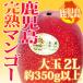  Кагосима производство ~.. манго ~ превосходящий товар большой шар 2L примерно 350g и больше упаковка ввод [ предварительный заказ 5 месяц средний последняя декада после ]