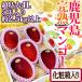  Кагосима производство ~.. манго ~ превосходящий товар очень большой 4L 5 шар примерно 2.5kg и больше несессер [ предварительный заказ 5 месяц средний последняя декада после ] бесплатная доставка 