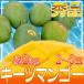  Okinawa производство ~ ключ tsu манго ~ превосходящий товар 2~6 шар примерно 2kg[ предварительный заказ 8 месяц средний . после ] бесплатная доставка 