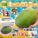  Okinawa производство ~ ключ tsu манго ~ превосходящий товар супер большой шар примерно 700g~1kg несессер [ предварительный заказ 8 месяц средний . после ] бесплатная доставка 