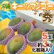  Okinawa производство ~ ключ tsu манго ~ превосходящий товар 5 шар примерно 3kg несессер ввод [ предварительный заказ 8 месяц средний . после ] бесплатная доставка 