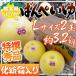  Kumamoto префектура . плата Special производство ~. белый .~..... превосходящий товар L размер 2 шар несессер ввод [ предварительный заказ 12 месяц после ] бесплатная доставка 