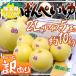  Kumamoto префектура . плата Special производство ~. белый .~..... немного есть перевод 2L размер 5 шар примерно 10kg нет печать [ предварительный заказ 12 месяц после ] бесплатная доставка 