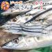 2025 год новый предмет! Hokkaido производство ~ jumbo соль san .~ 6~7 хвост передний и задний (до и после) примерно 1kg сайра осень меч рыба [ предварительный заказ поступление последовательность отправка ] бесплатная доставка 