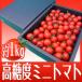  Wakayama производство фрукты мини помидоры ~ Carol seven ~ примерно 1kg несессер ввод [ предварительный заказ 11 месяц средний . после ]