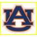 ̵ Fremont Die NCAA Auburn Tigers 12-Inch Magnet ¹͢