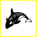 ̵ End Captivity Whale Decal Notebook Car Laptop 5.5