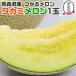  подарок на Bon Festival дыня takami дыня Aomori префектура производство ... дыня 1 шар входить 1.2kg и больше чай коробка . для бытового использования . тест дыня лето подарок подарок площадь 