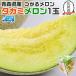 ������ ������ �^�J�~������ �X���Y ���郁���� 1�ʓ� 1.2kg �ȏ� �N�[���֎w�� ���ϔ� �����p �M�������� �ăM�t�g �M�t�g�L��