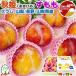  подарок на Bon Festival подарок sumomo слива персик ...... Yamanashi / Nagano / Yamagata префектура производство осень .1 коробка 7-9 шар входить .. для ... высококлассный редкий фрукты . предмет подарок подарок на Bon Festival подарок площадь 