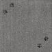 �^�C���}�b�g �^�C�����O �Ă��Ă����� 50�~50cm �O���[ ���O�^�X(Rugtasu)