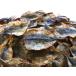...500g молния пакет жарение .. чёрный рисовое поле магазин 