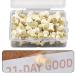 AAGWW۲  Ǽդ  ع ̳ Ωʤ ţʹס40pcs 
