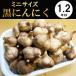  чёрный чеснок Aomori производство Mini Fukuchi белый шесть одна сторона 1.2kg M размер не достиг. шар Mini чёрный чеснок 
