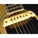 L.R.Baggs M-1 Active (ͽ)