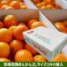 完熟きんかん （高級） 宮崎完熟キンカン 3L3キロ簡易箱入 産地直送 ギフト包装可