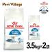  массовая закупка . выгода! Royal kana nFHN Индия a7+ салон . жизнь делать средний высота . кошка для 7 лет из 12 лет до 3.5kg ×2 пакет комплект [ корм для кошек ]