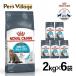 �y�܂Ƃߔ����ł����I�z���C�����J�i�� �L �����i���[ 2kg �~6�܃Z�b�g �����i���[�P�A �L�p ���N�ȔA���ێ����������L�p ����12������ȏ� ���C�����J�i���L