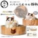  кошка . baribari миска кошка рисунок 