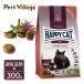 happy кошка стерео ARAI zdo.... для 300g