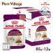  Royal kana nFHN-WET SENSORY сенсор Lee аромат . суетиться для взрослой кошки 85g×12 пакет [ корм для кошек ] одобрено online магазин 