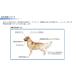 �y�b�g�N�[�� Pet-Cool �{�f�B�P�A�X�v���[ �l�ւ� 300ml �֘A�摜2