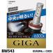 CARMATE ᥤ BW543 إåɥ饤 ե GIGA E3400꡼ H8/H9/H11/H16 6500K