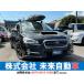 [ оплата общая сумма 880,000 иен ] б/у машина Subaru Levorg navi *TV* камера заднего обзора *ETC