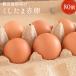 普段使いにおススメ 櫛田養鶏場が誇るおいしい赤卵 80個入り(内10個破卵保障) コスト削減！トレイにて発送！