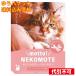 yu. пачка )motto! NEKOMOTE...mote хочет автобус пудра котовник кошачий × rose. аромат 30g