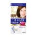 サロンドプロ 無香料ヘアカラー 早染めクリーム(白髪用) 3 明るいライトブラウン1剤40g・2剤40g