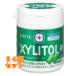  Lotte жевательная резинка с ксилитом lime мята Family бутылка 133g×24 шт 
