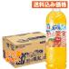 �V�R��������Ɖʎ��I�����W���}���S�[ 600ml�~24��