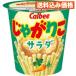 �J���r�[ ���Ⴊ�肱 �T���_ 57g�~12��