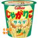 �J���r�[ ���Ⴊ�肱 �T���_ 57g�~48��