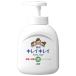 ライオン キレイキレイ 薬用 液体ハンドソープ ポンプ (250mL)　【医薬部外品】
