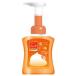 レキットベンキーザー　薬用せっけん　ミューズ　泡ハンドソープ　フルーティフレッシュ　本体　(250mL)　【医薬部外品】